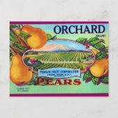 Orchard Pears Briefkaart (Voorkant)