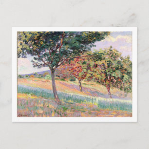 Orchard te St. Cheron, 1893 (olie op canvas) Briefkaart