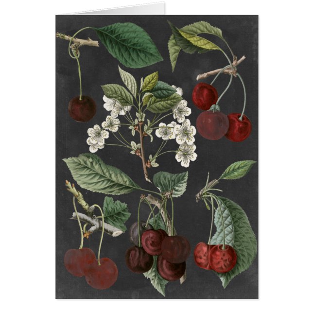 Orchard Varieties I (Voorkant)