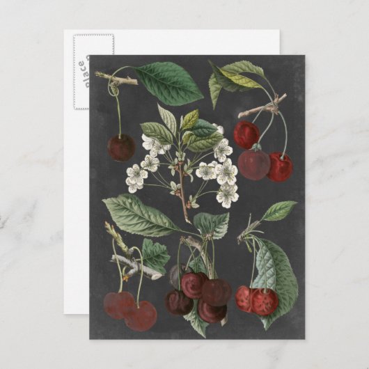 Orchard Varieties I Briefkaart (Voorkant / Achterkant)