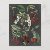 Orchard Varieties I Briefkaart (Voorkant)