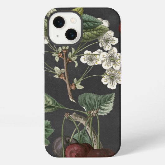 Orchard Varieties I iPhone Hoesje (Achterkant)