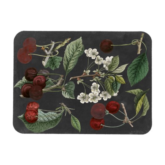 Orchard Varieties I Magneet (Horizontaal)