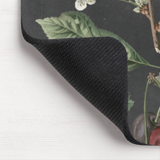 Orchard Varieties I Muismat (Hoek)