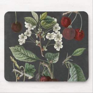 Orchard Varieties I Muismat