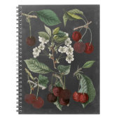 Orchard Varieties I Notitieboek (Voorkant)