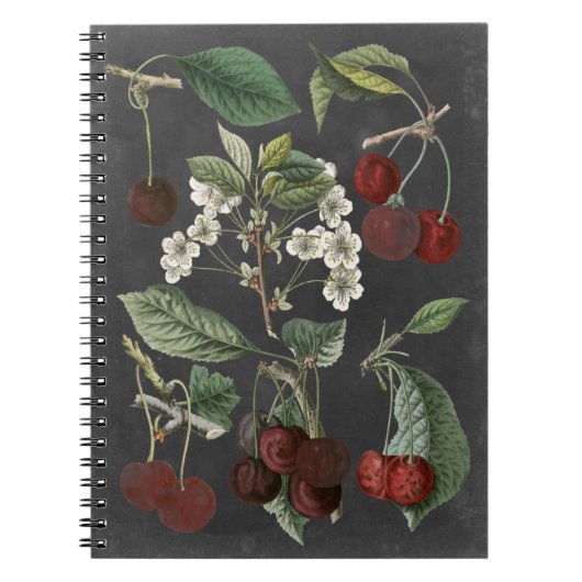 Orchard Varieties I Notitieboek (Voorkant)