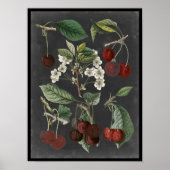Orchard Varieties I Poster (Voorkant)