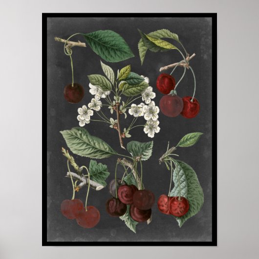 Orchard Varieties I Poster (Voorkant)