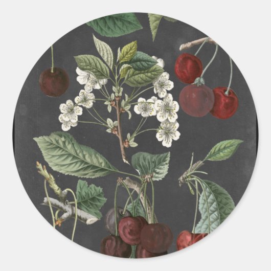 Orchard Varieties I Ronde Sticker (Voorkant)