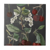 Orchard Varieties I Tegeltje (Voorkant)