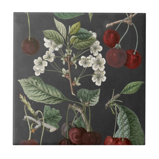 Orchard Varieties I Tegeltje (Voorkant)