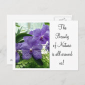 Orchard Violet Briefkaart (Voorkant / Achterkant)