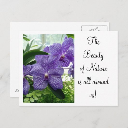 Orchard Violet Briefkaart (Voorkant / Achterkant)