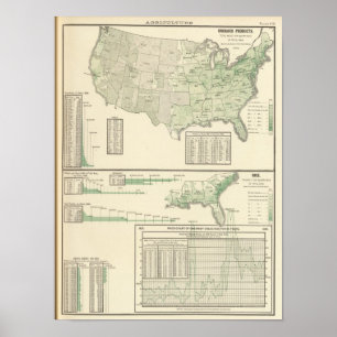 Orchardproducten en rijst poster
