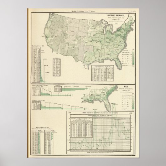 Orchardproducten en rijst poster (Voorkant)