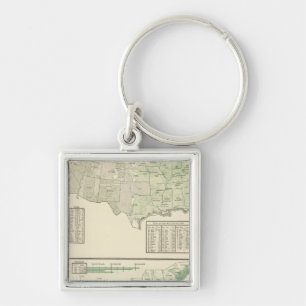 Orchardproducten en rijst sleutelhanger