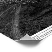 Orchards at Banning Heights, Mt. San Jacinto, 1966 Poster (Hoek)