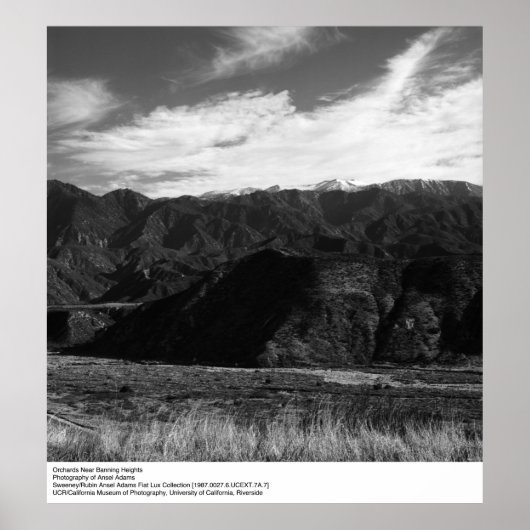 Orchards nabij banninghoogten door Ansel Adams Poster (Voorkant)