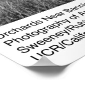 Orchards nabij banninghoogten door Ansel Adams Poster (Hoek)