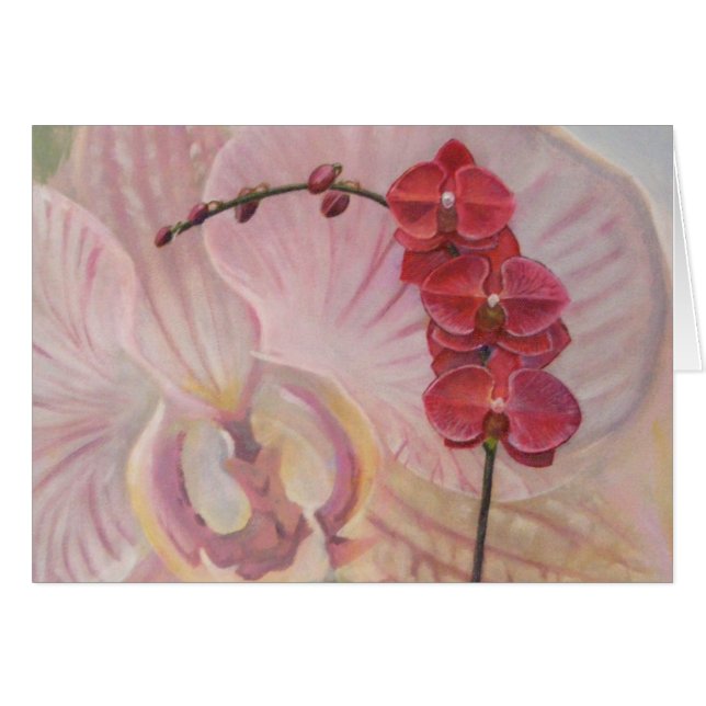 Orchid (Voorkant Horizontaal)