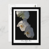 Orchid 002 Briefkaart (Voorkant / Achterkant)