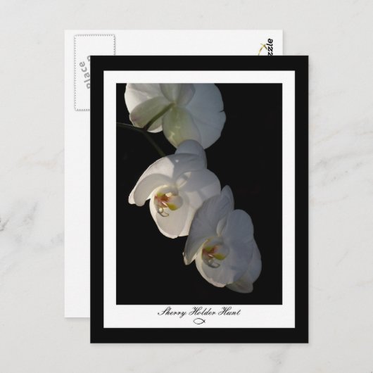 Orchid 002 Briefkaart (Voorkant / Achterkant)