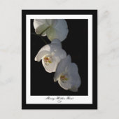 Orchid 002 Briefkaart (Voorkant)