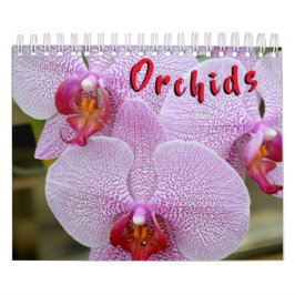 Orchid 12-maandkalender kalender