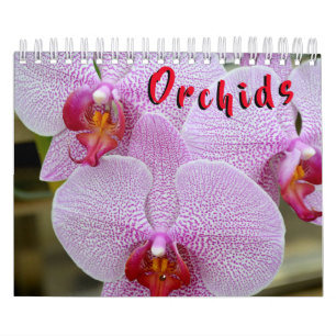 Orchid 12-maandkalender kalender