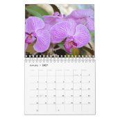 Orchid 12-maandkalender kalender (Jan 2027)