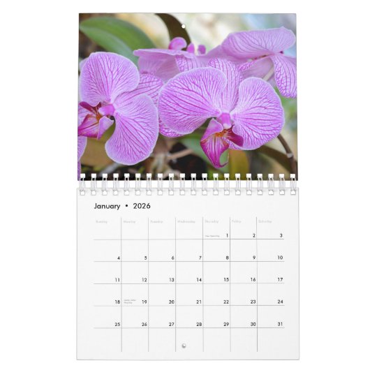 Orchid 12-maandkalender kalender (Jan 2026)