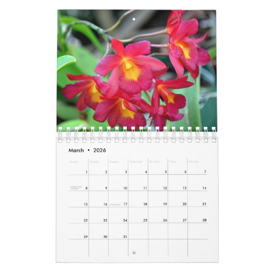 Orchid 12-maandkalender kalender (Mar 2026)