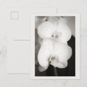 Orchid 8931 briefkaart (Voorkant / Achterkant)