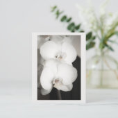 Orchid 8931 briefkaart (Staand voorkant)