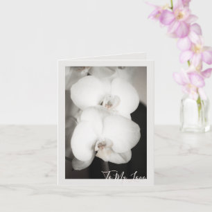 Orchid 8931 kaart