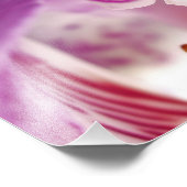 Orchid-apparaat Fotouitbreiding Foto Afdruk (Hoek)