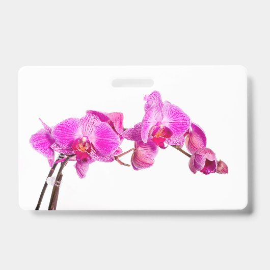 Orchid Badge (Voorzijde)