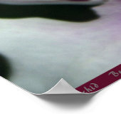 Orchid Beallara Poster -24x36 - andere maten ook (Hoek)