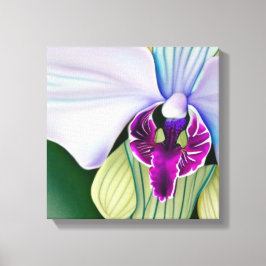 Orchid Beauty Canvas Afdruk