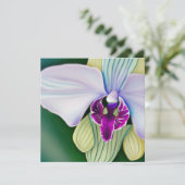 Orchid Beauty Feestdagenkaart (Staand voorkant)