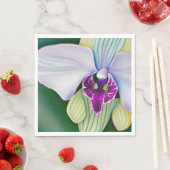 Orchid Beauty Servet (Insitu)