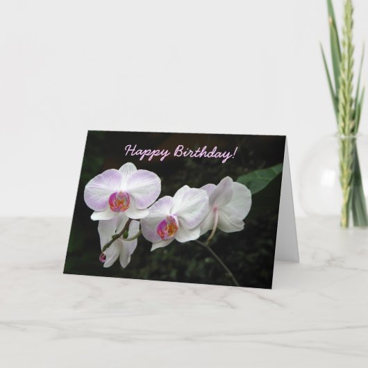 Orchid Birthday Wenskaart Kaart (Voorkant)