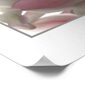 Orchid Bleek Beauty Poster (Hoek)