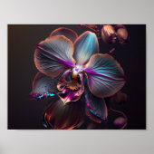 Orchid Blossom Poster (Voorkant)