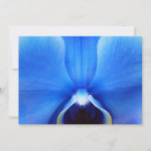 Orchid Blue zal je mijn uitnodiging zijn. (Achterkant)