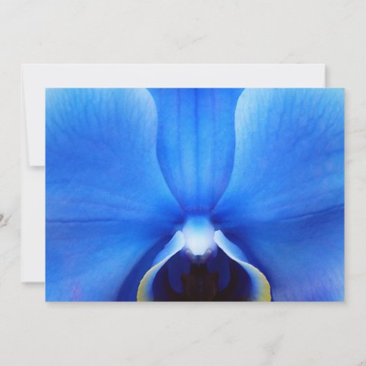 Orchid Blue zal je mijn uitnodiging zijn. (Achterkant)