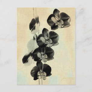 Orchid Blush Panels III Briefkaart