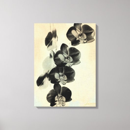 Orchid Blush Panels III Canvas Afdruk (Voorkant)