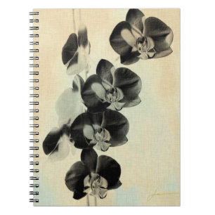 Orchid Blush Panels III Notitieboek